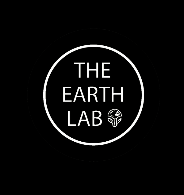 The Earth Lab